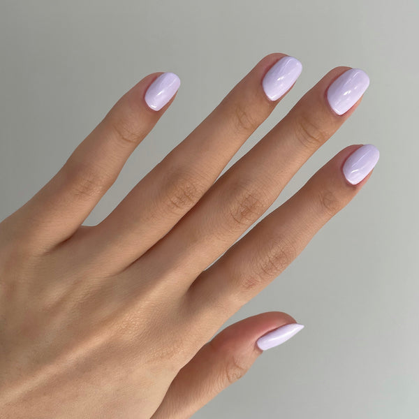 Lilac Bush