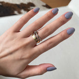 Whistler's Grey